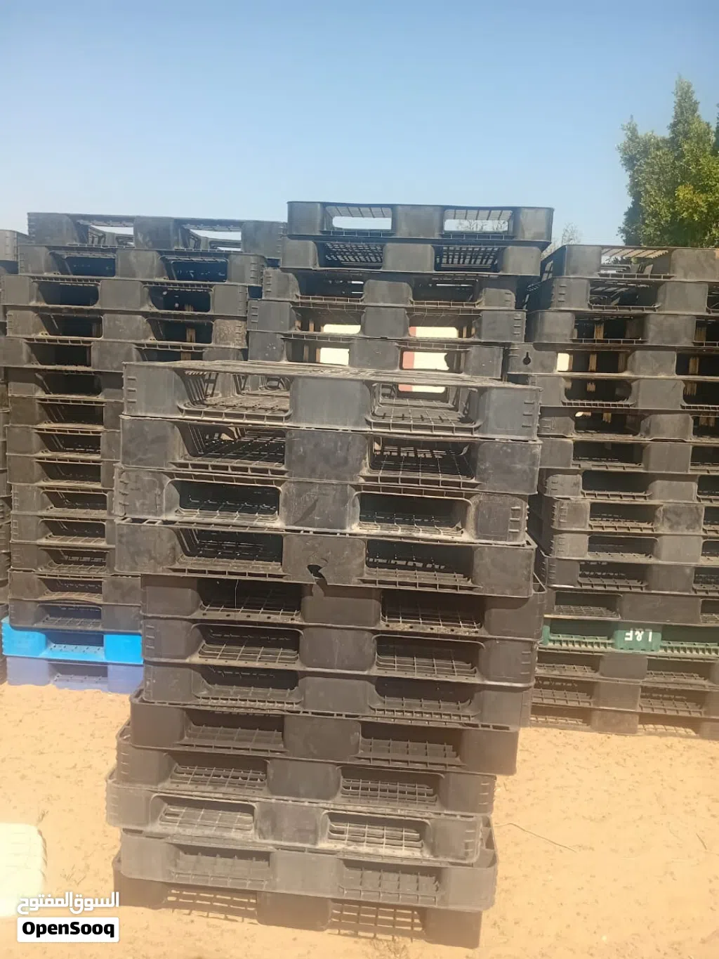 بدانات بلاستك