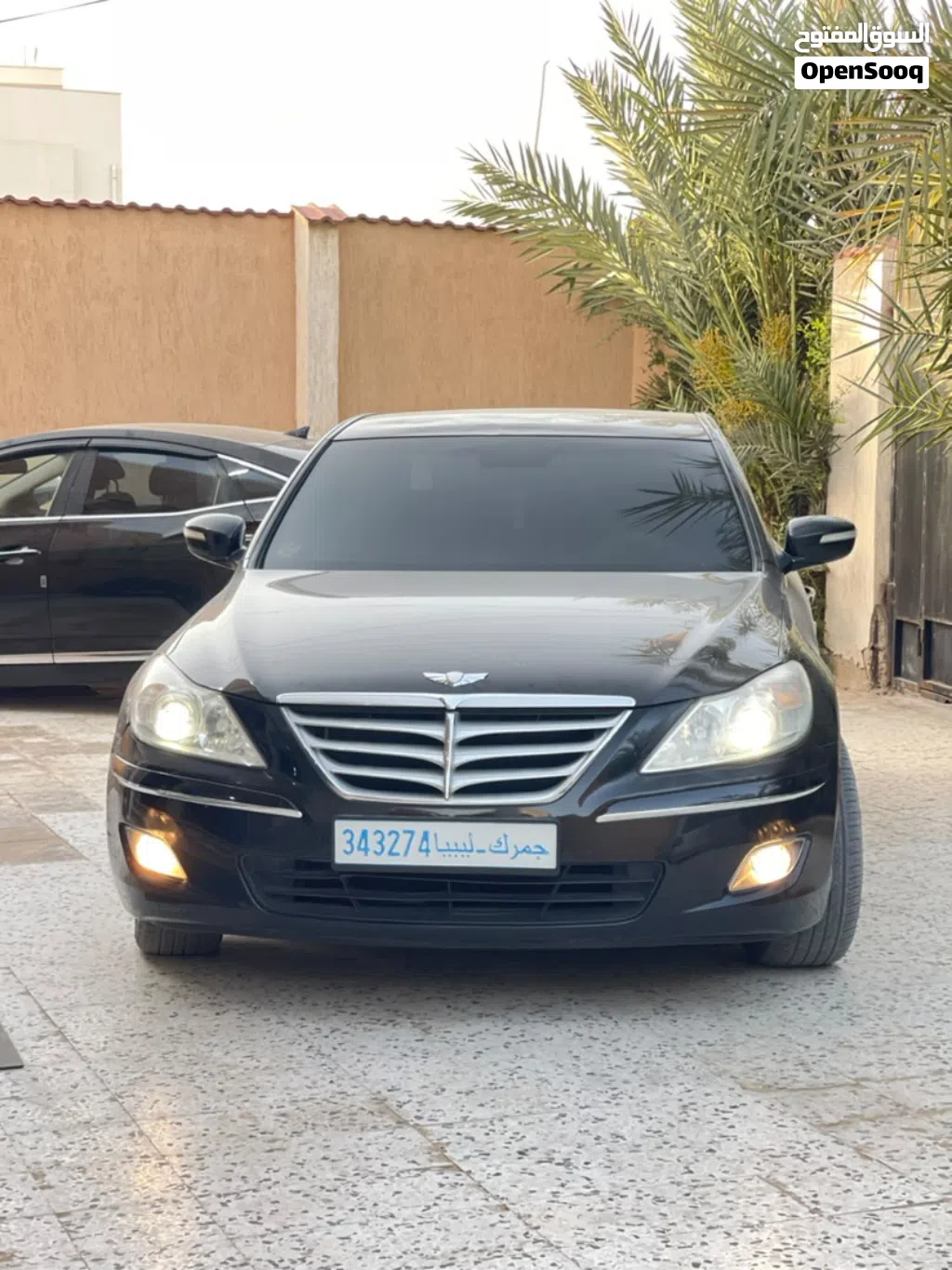 Genesis Other