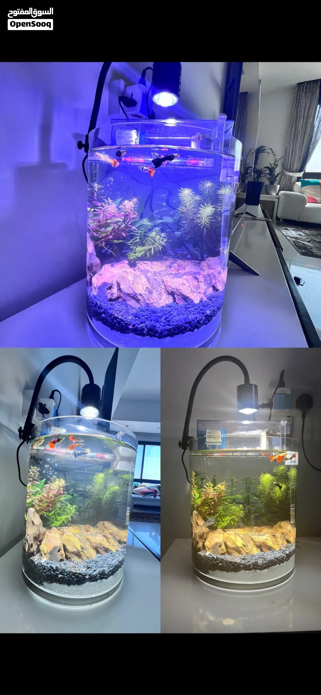 Aquarium 2 Months used URGENT SALE