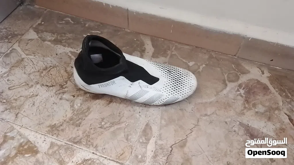 حذاء اديداس بريداتور