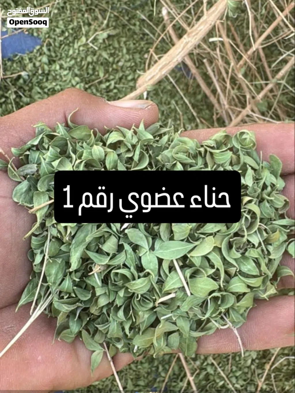 حناء بلدي عضوي