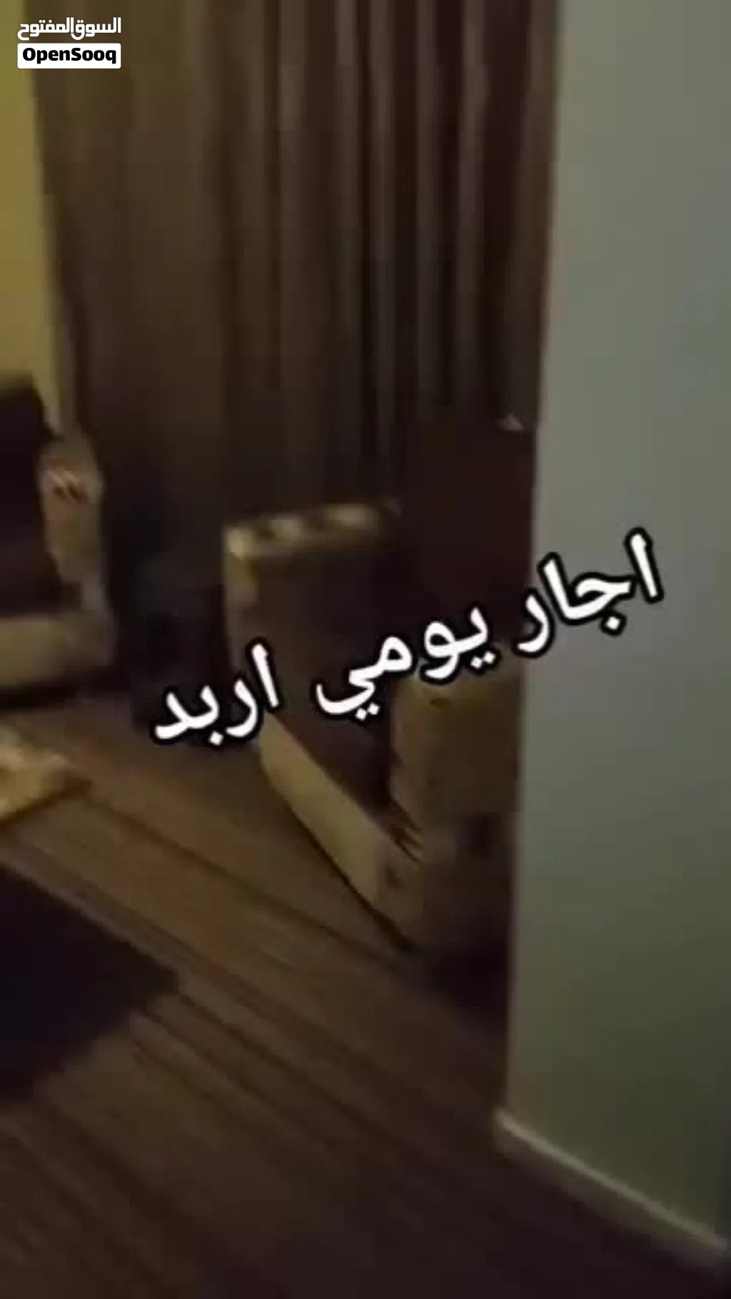 شقق اجار يومي
