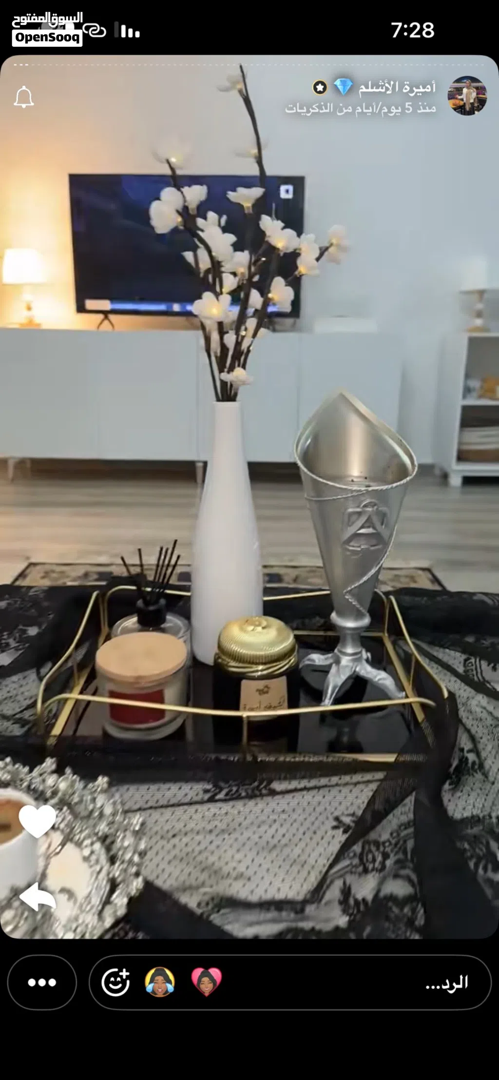 طلب ممول لمشروع قائمه لضروره قصوره بكل ضمانات