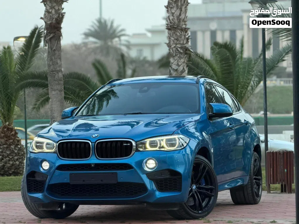 BMW X6 Series X6 M50i