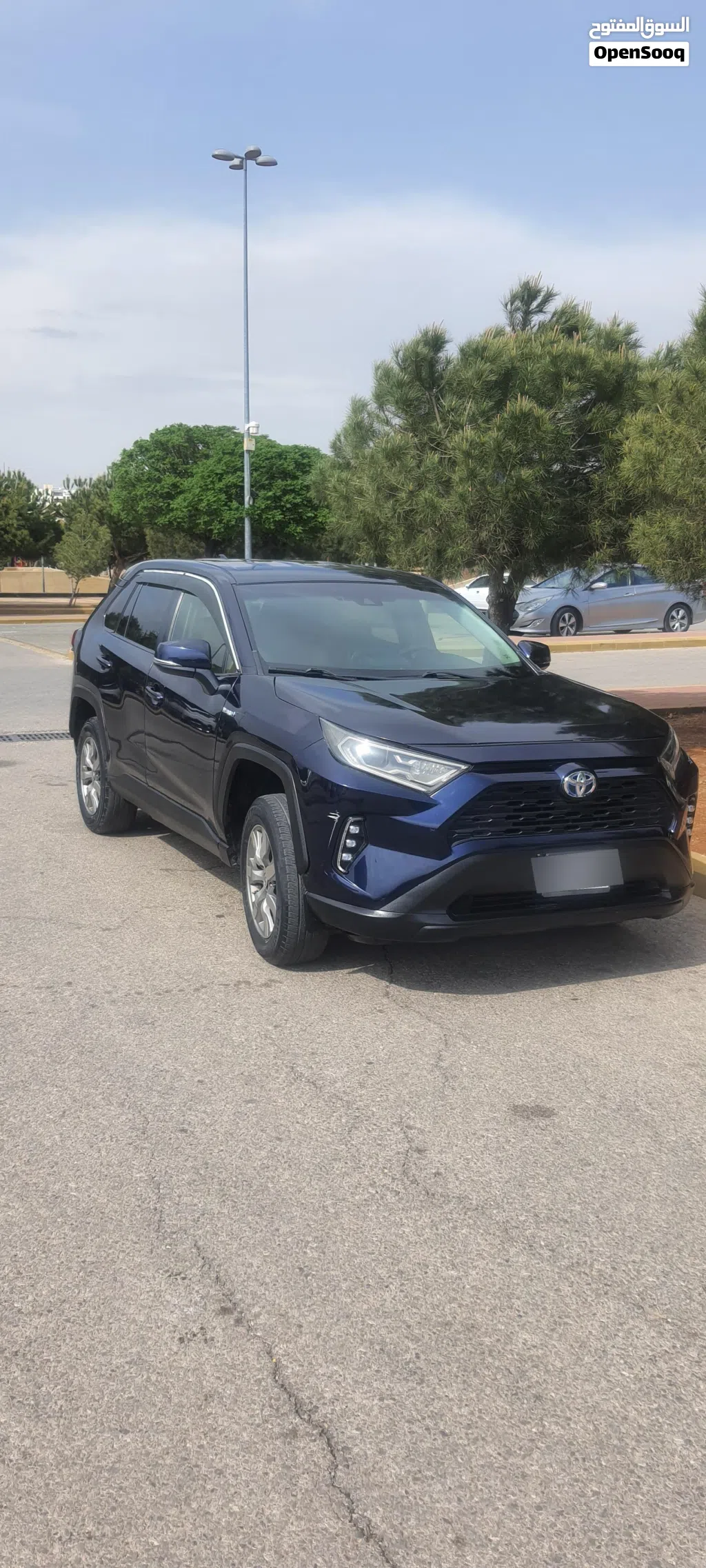 Toyota RAV 4 LE