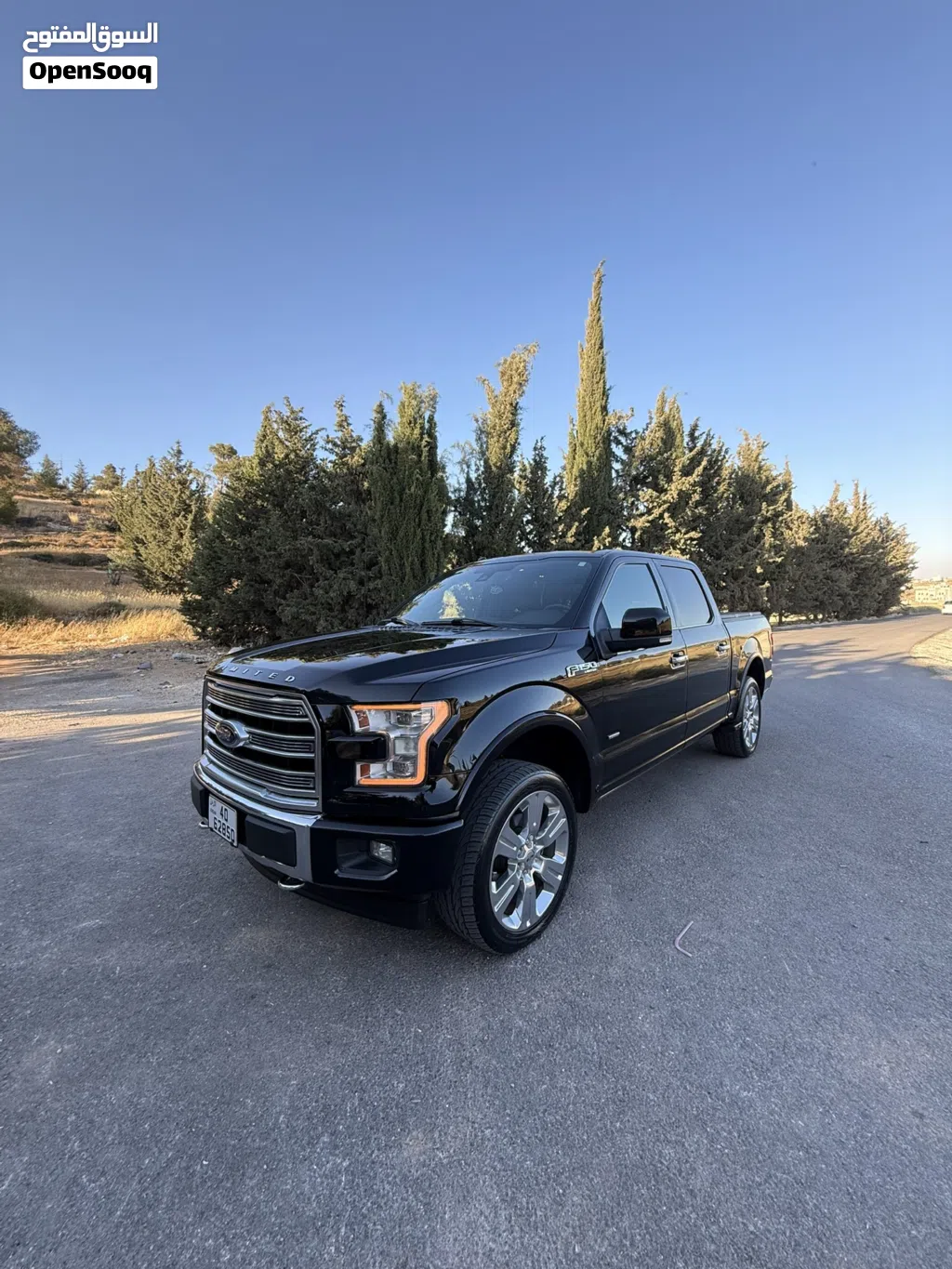 Ford F-150 Limited