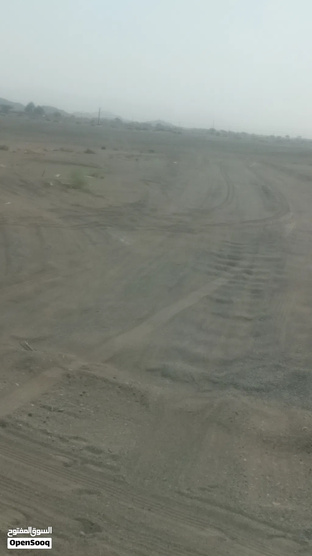 مطلوب جعد مع فحلهن