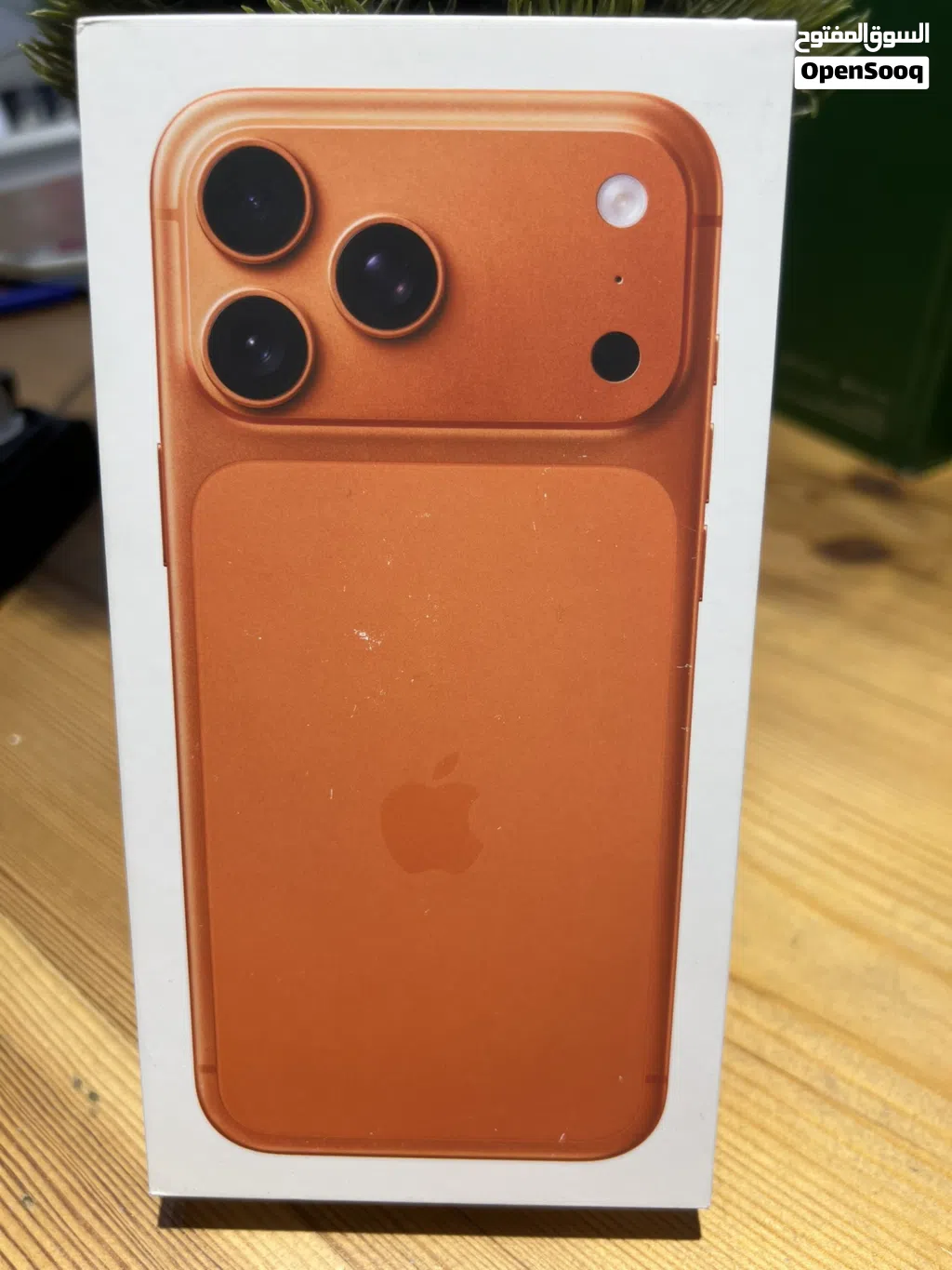 iPhone 17 Pro Max