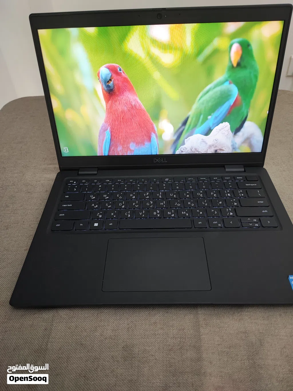 Dell Latitude 3420 i5 RAM 16GB SSD 512GB Windows 11 + شنطة وشاحن