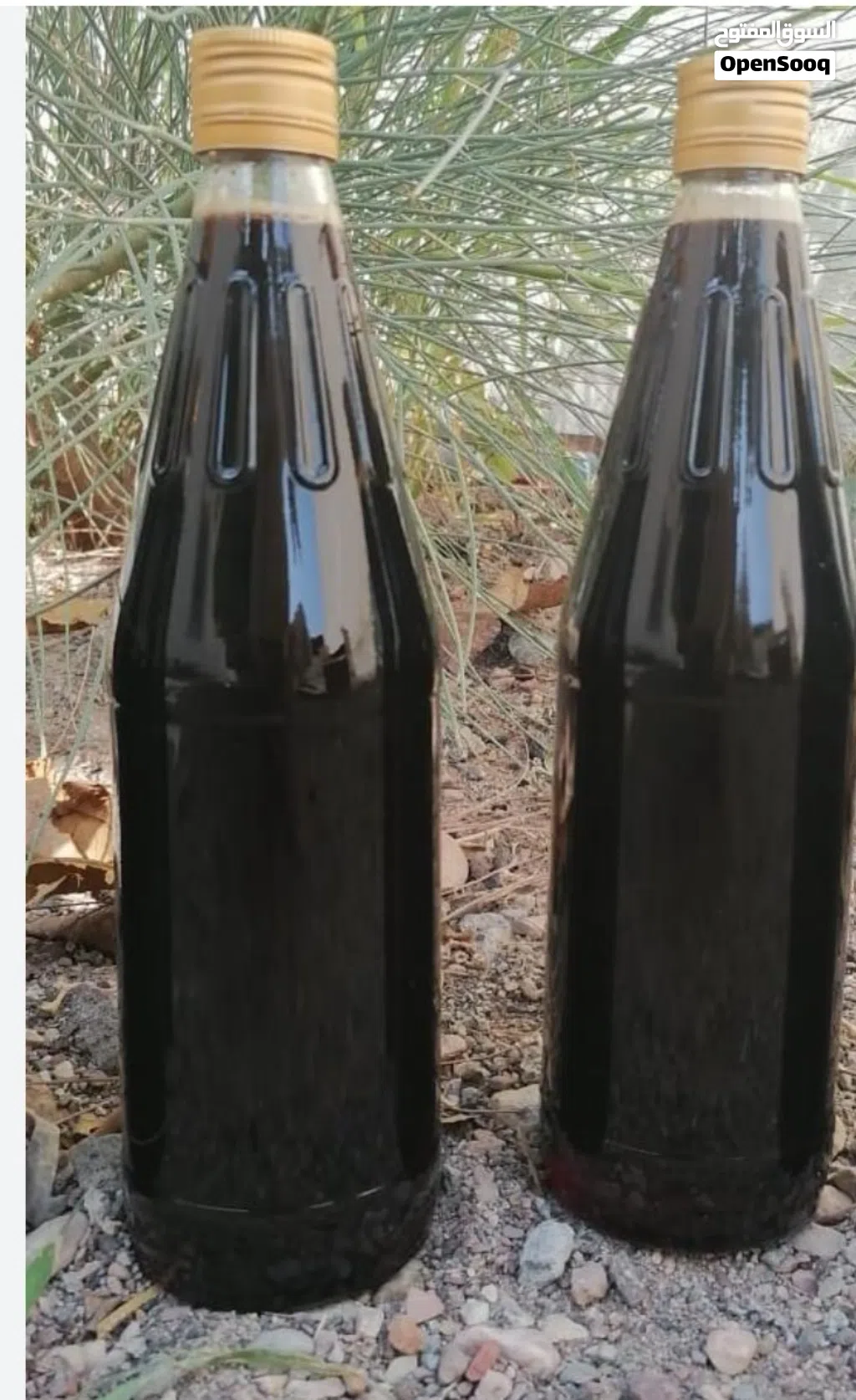 عسل برم وعسل سدر متوفر