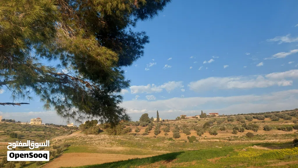 الصبيحي سيحان مزرعه 4 دونم مستقل بسعر مناسب