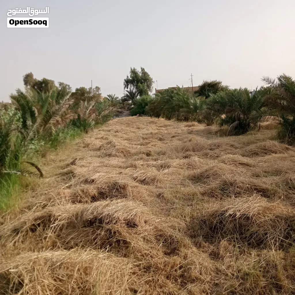 بستان للبيع