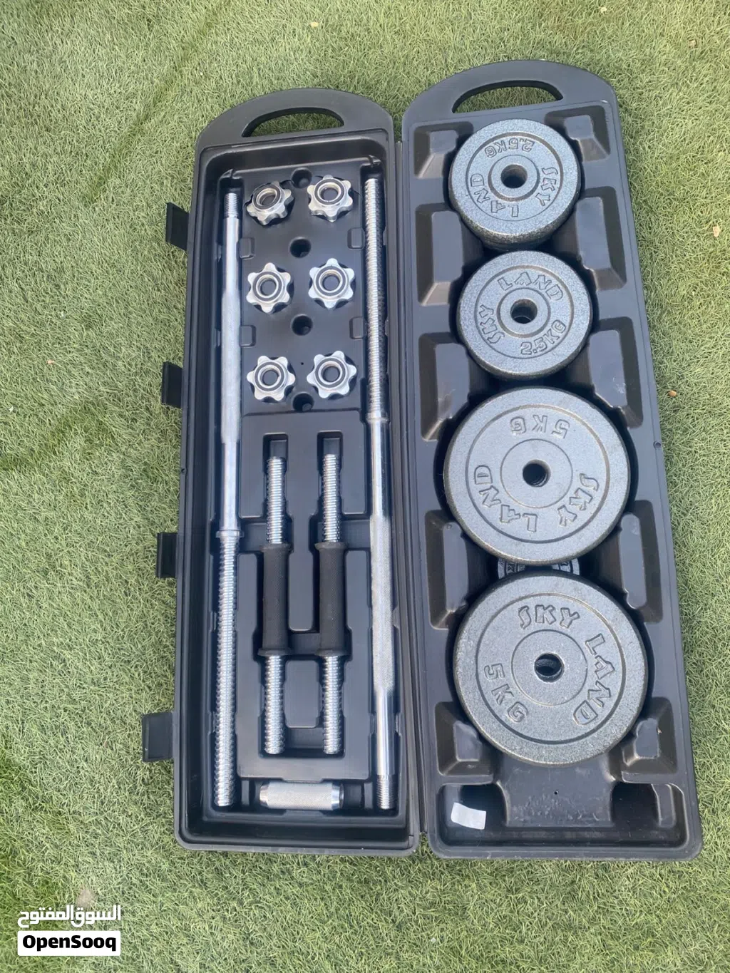 dumbbells sets and bench press