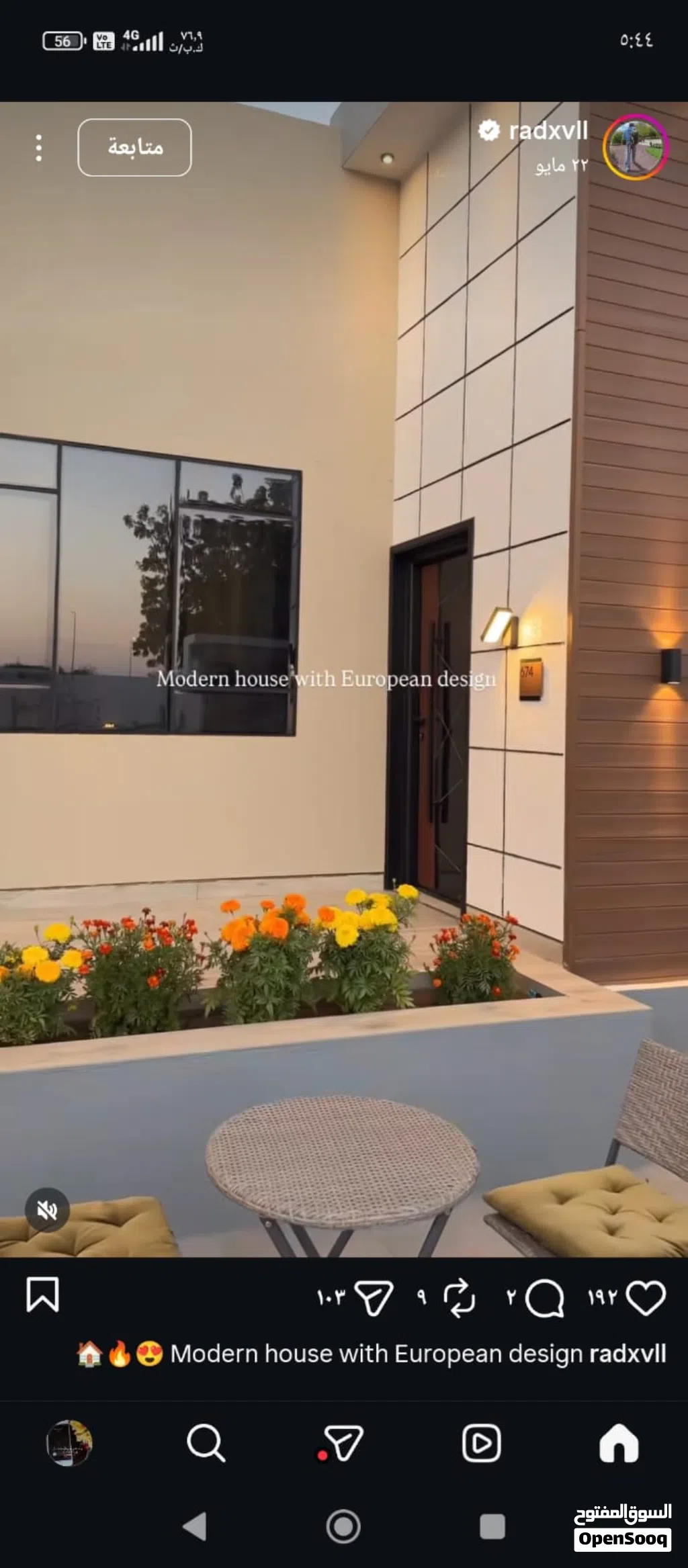 حمام عاديات ازواج معهن فروخ