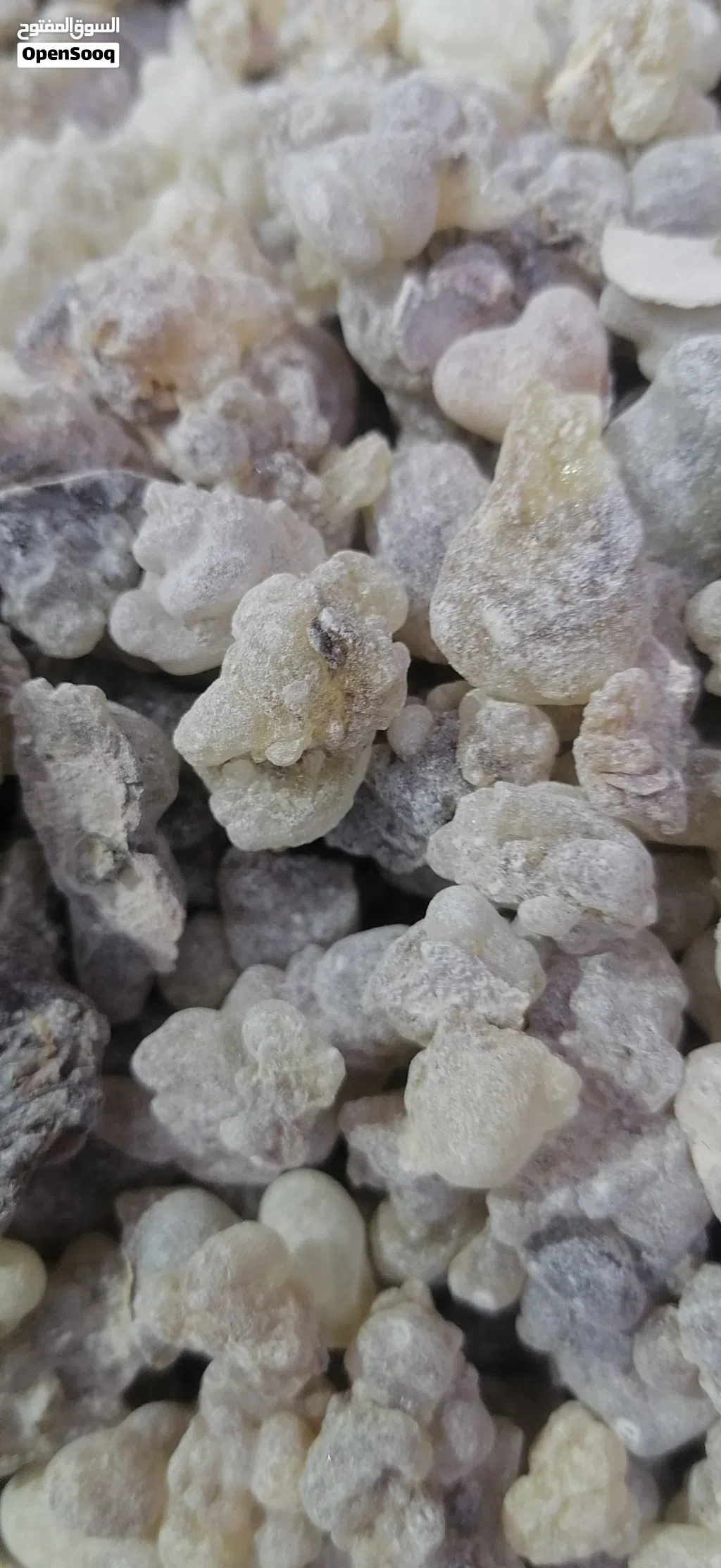لبان حوجري للبخور ذو الريحه الزكيه عالي الجوده والسعر المناسب