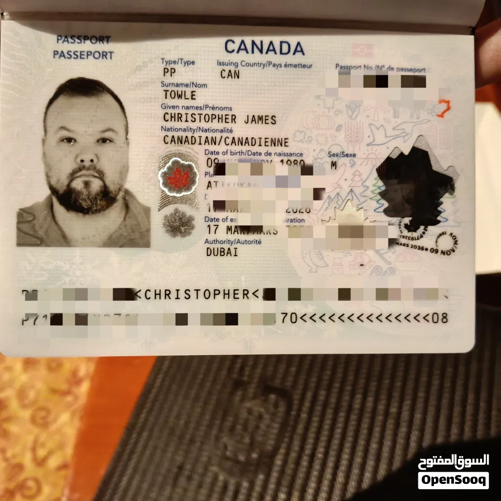 Canadian Business Owner Seeking Partners