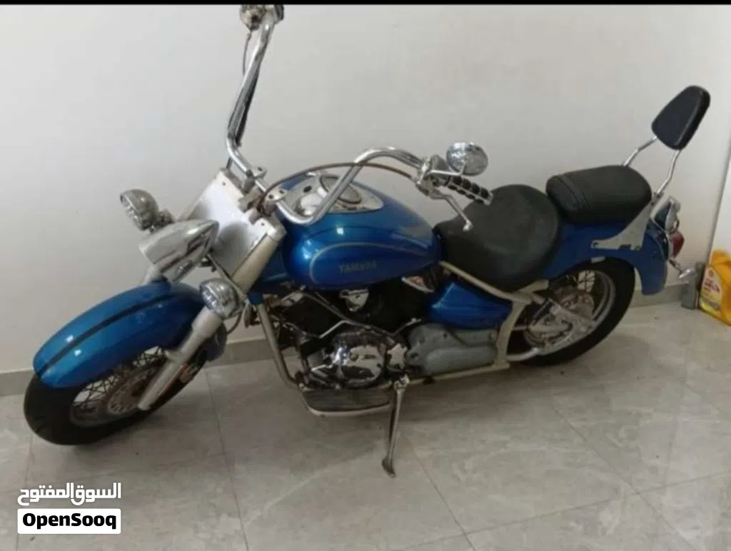 هارلي ديفيدسون 1200 Custom