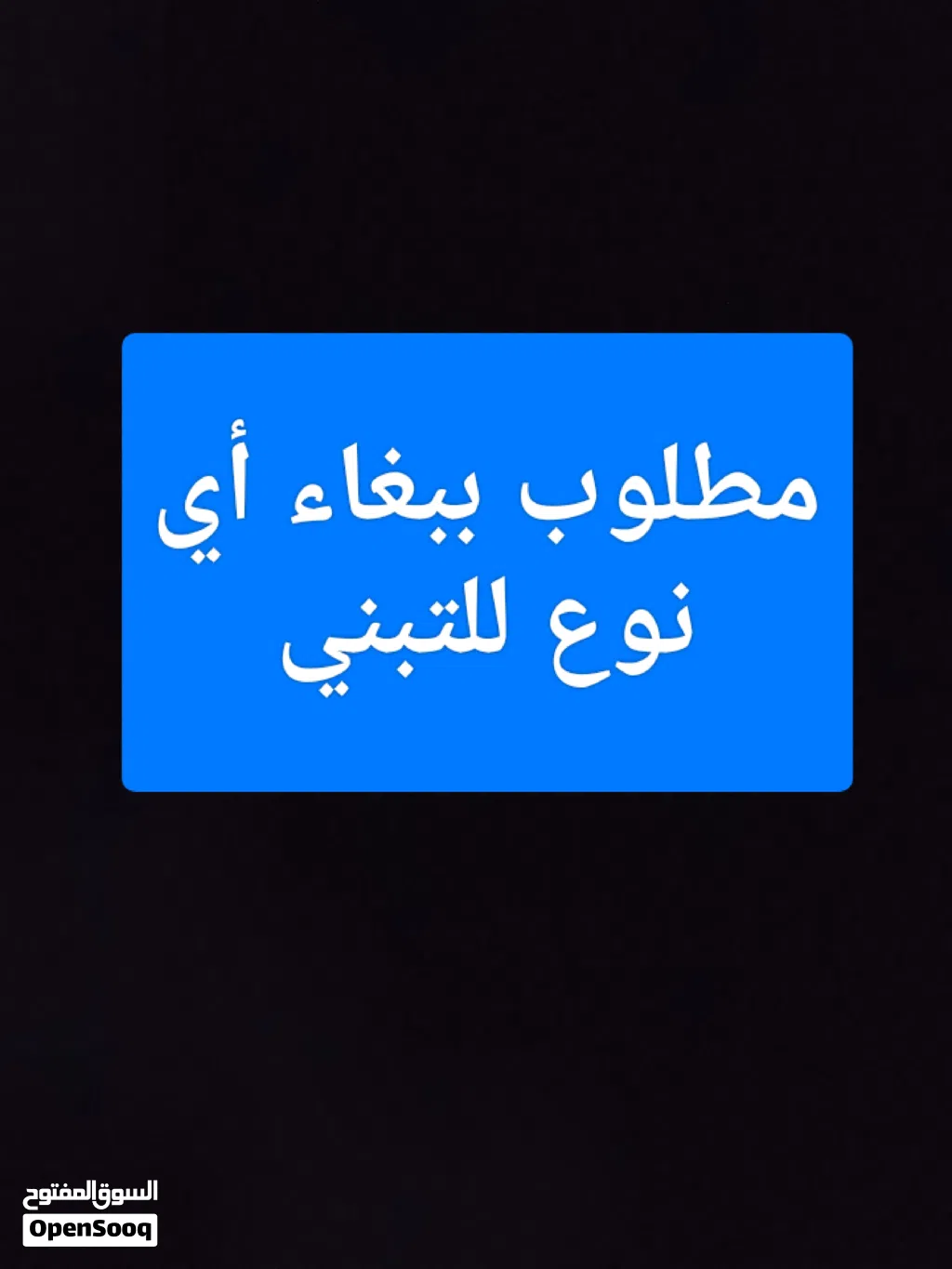 مطلوب ببغاء للتبني