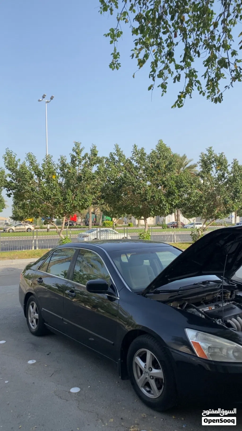 Honda Accord EX