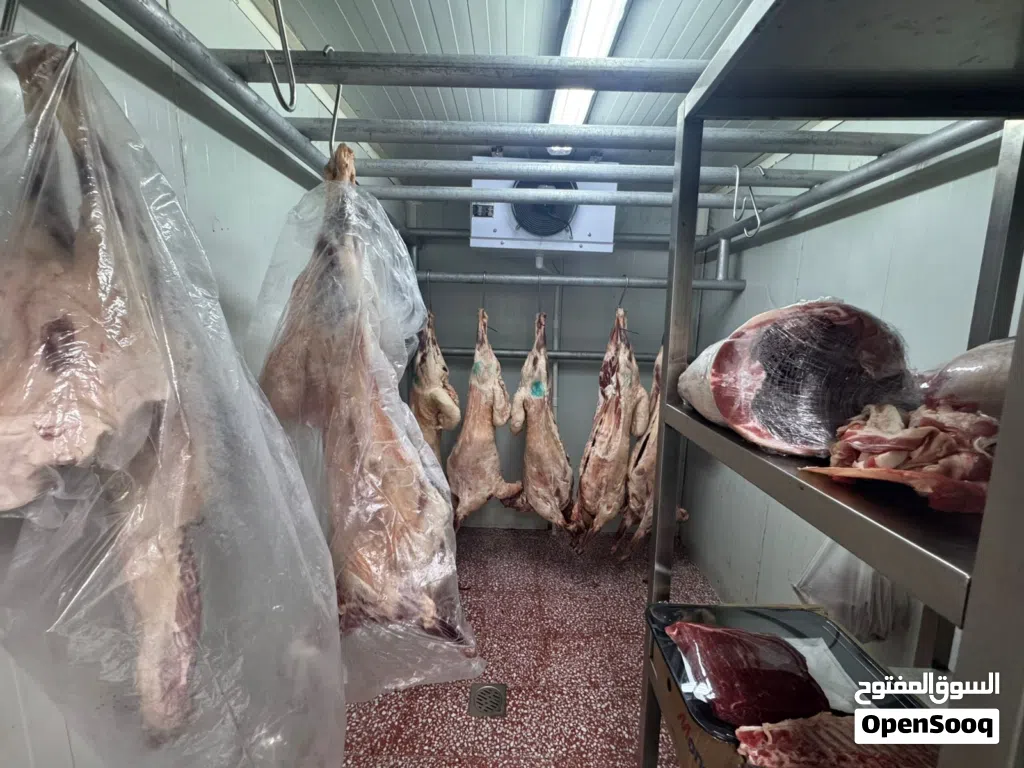 للبيع ملحمة مع الرخصة والمعدات في عجمان النعيمية 2 شارع الملك Butcher shop for sale with license an
