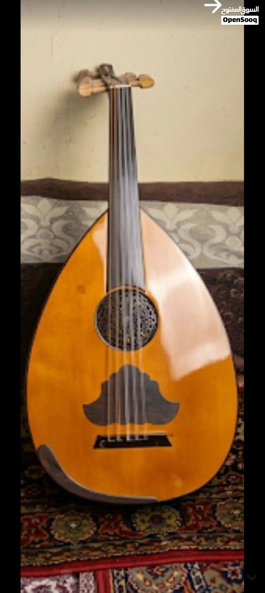 عود من ابل