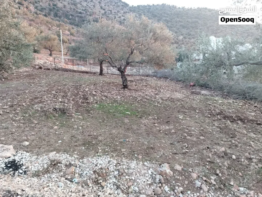 ارض للبيع مفروزة بقوشان مستقل