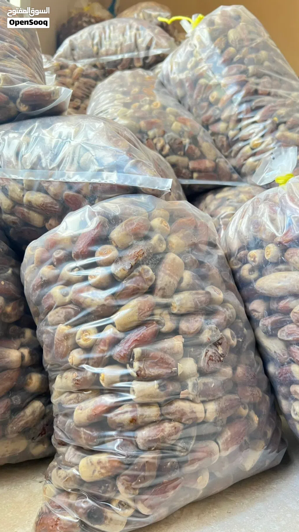 بيع تمر النغال العماني طازج ....