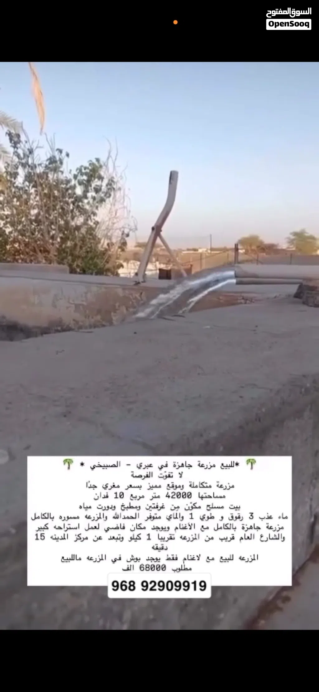 مزرعه متكامله بها ماء عذب وجاهزه ومسوره