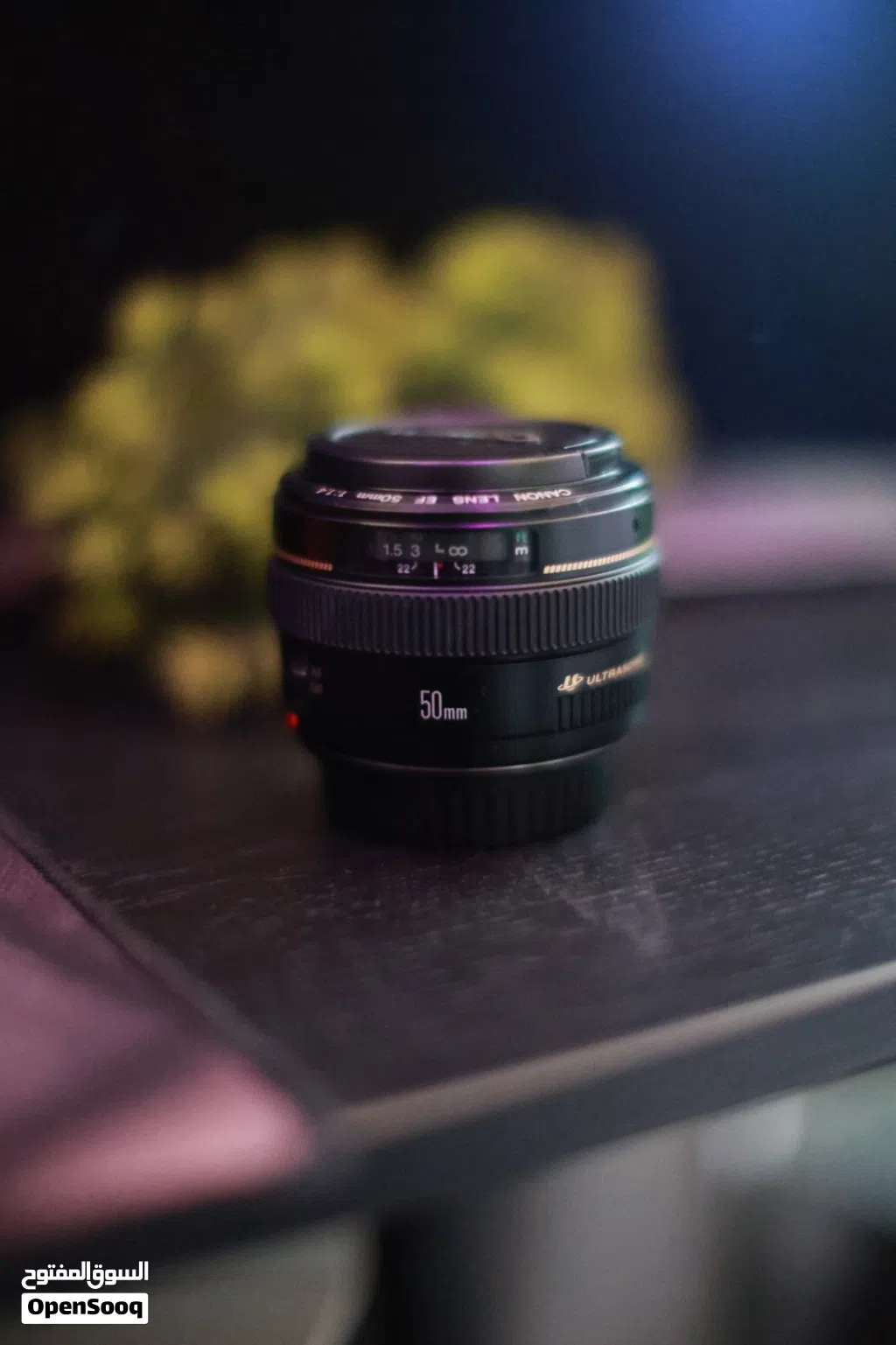 Canon 50 mm 1.4 prime lens
