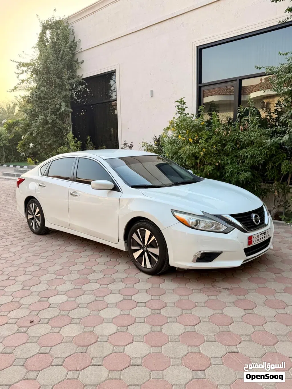Nissan Altima Standard