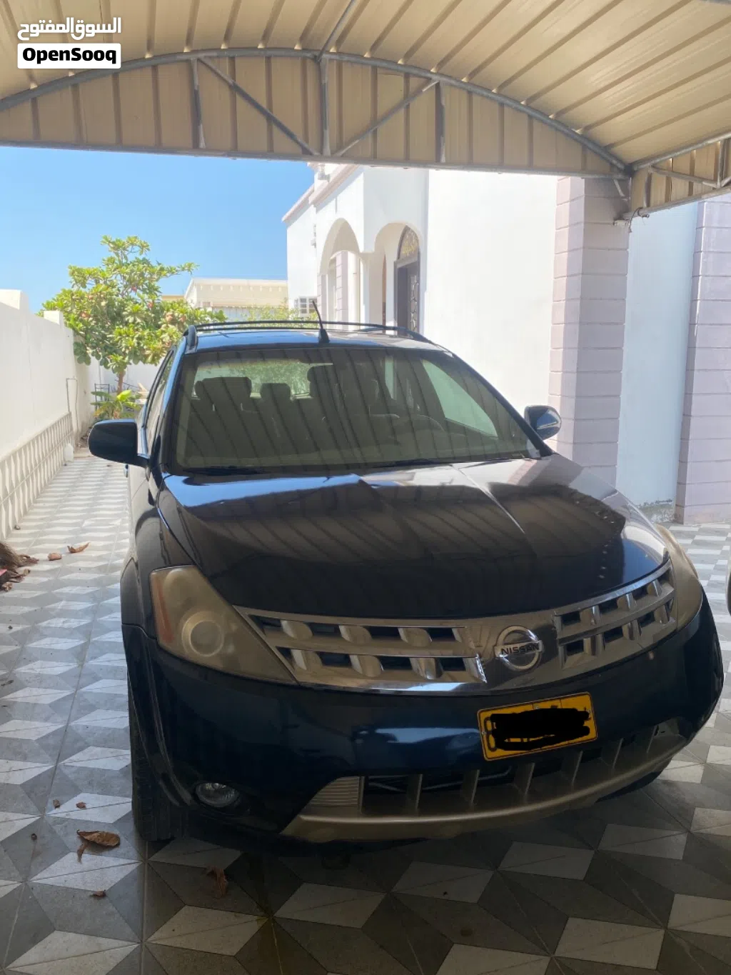 Nissan Murano LE