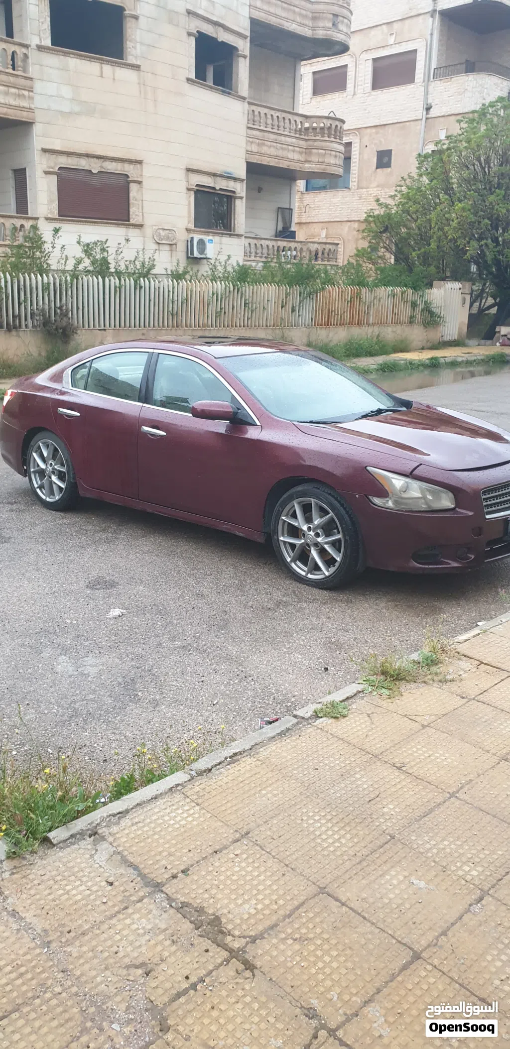 Nissan Maxima SR1