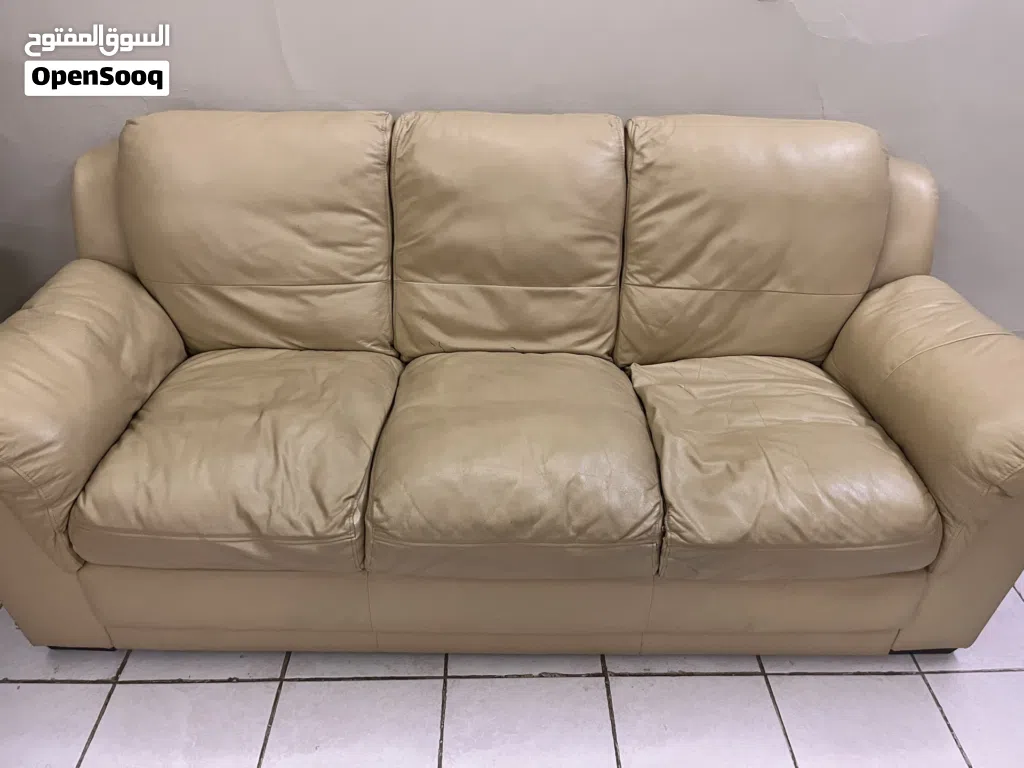 Leather Sofa set with center table, rug and two side tables