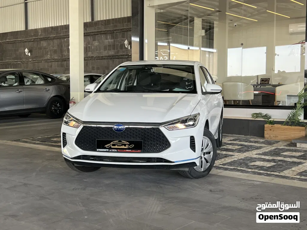 BYD E2
