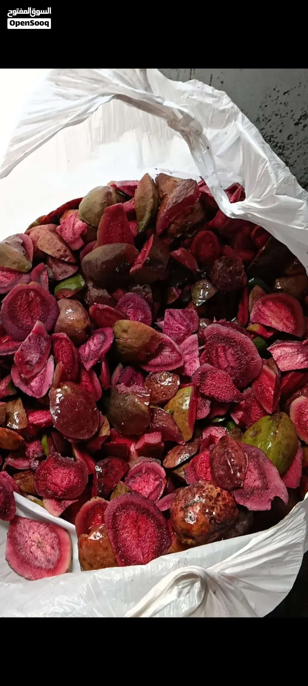 للبيع اشجار بيذام