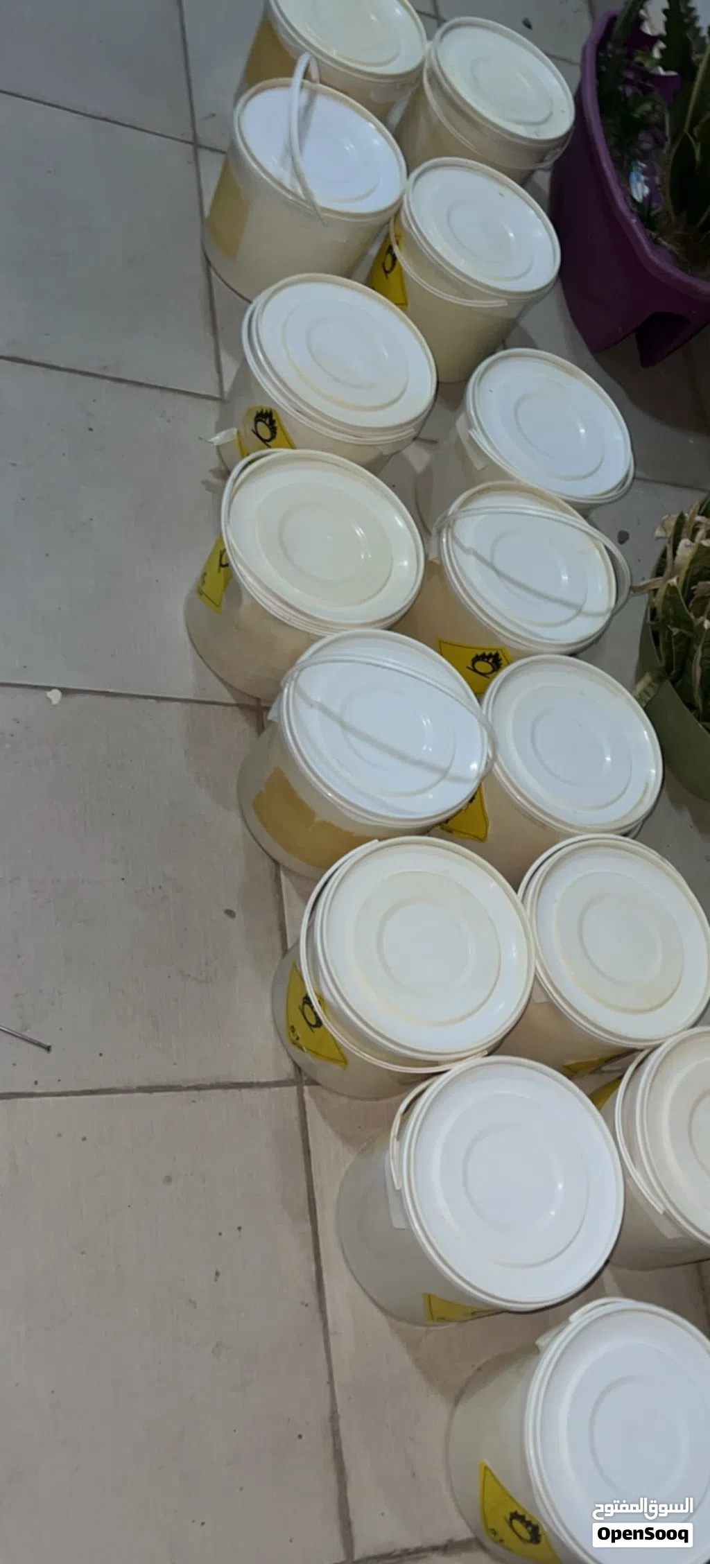كلور طرابلس