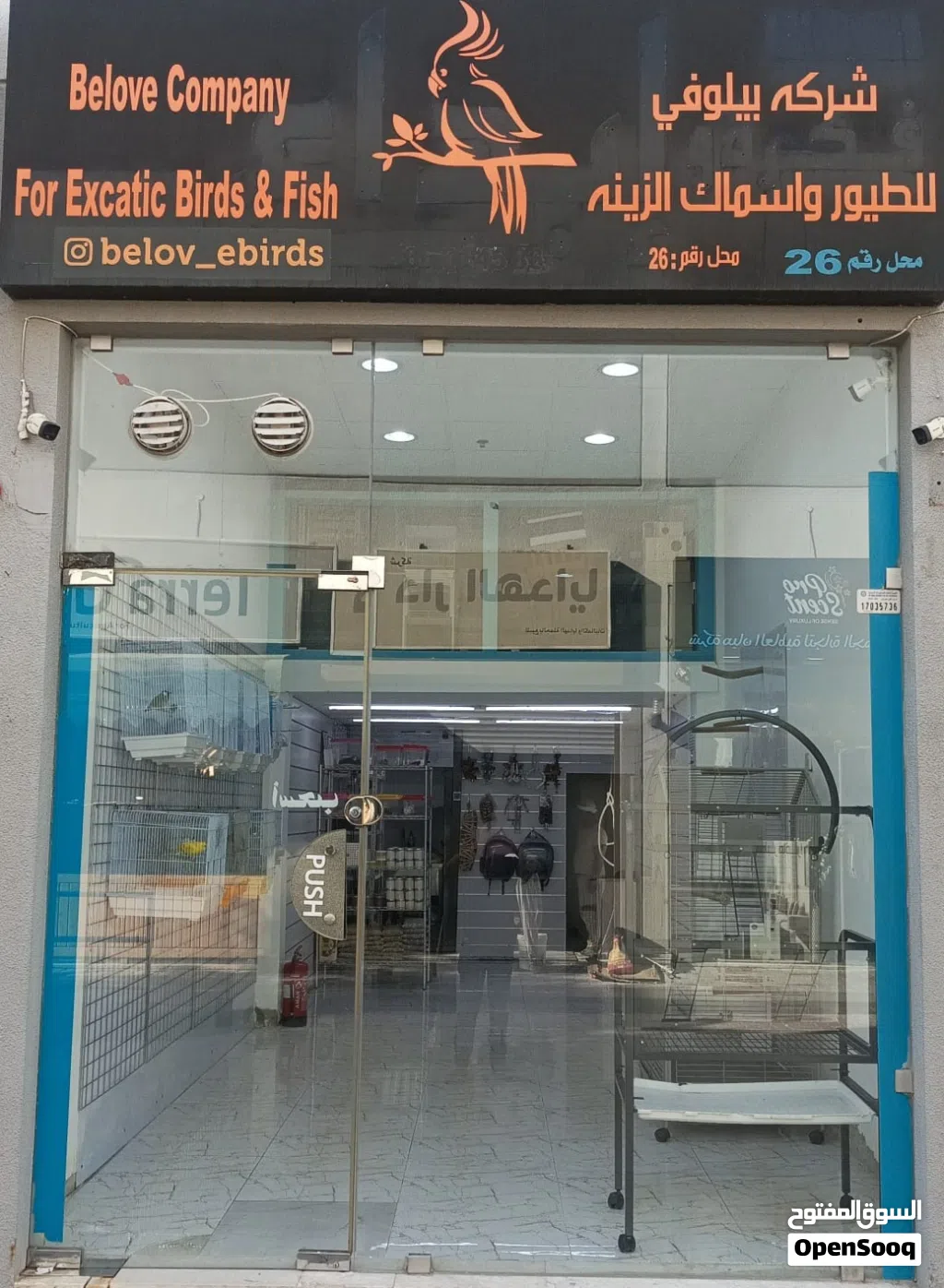 محل رقم 26 بيلوفي لبيع الطيور والأسماك