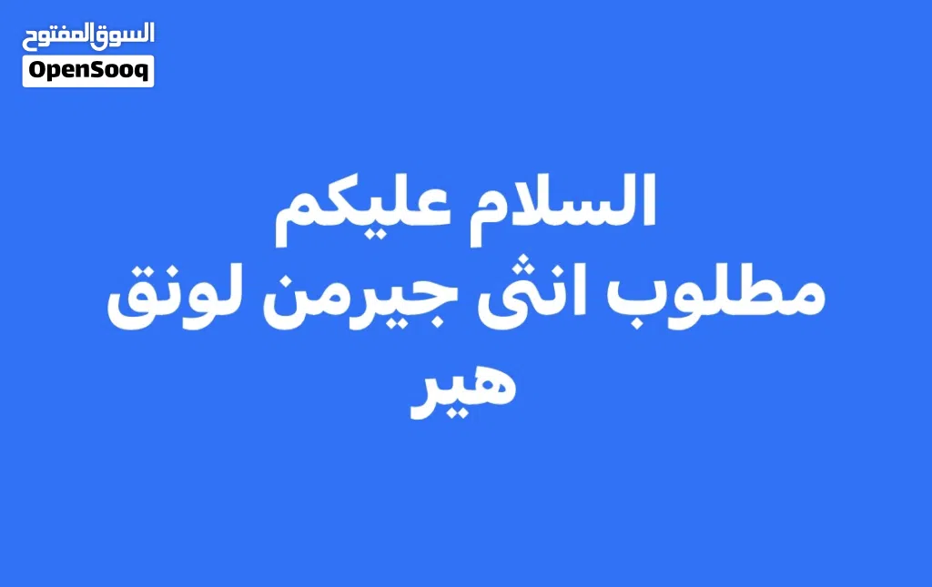 مطلوب انتى جيرمن شيبرد لونق هير