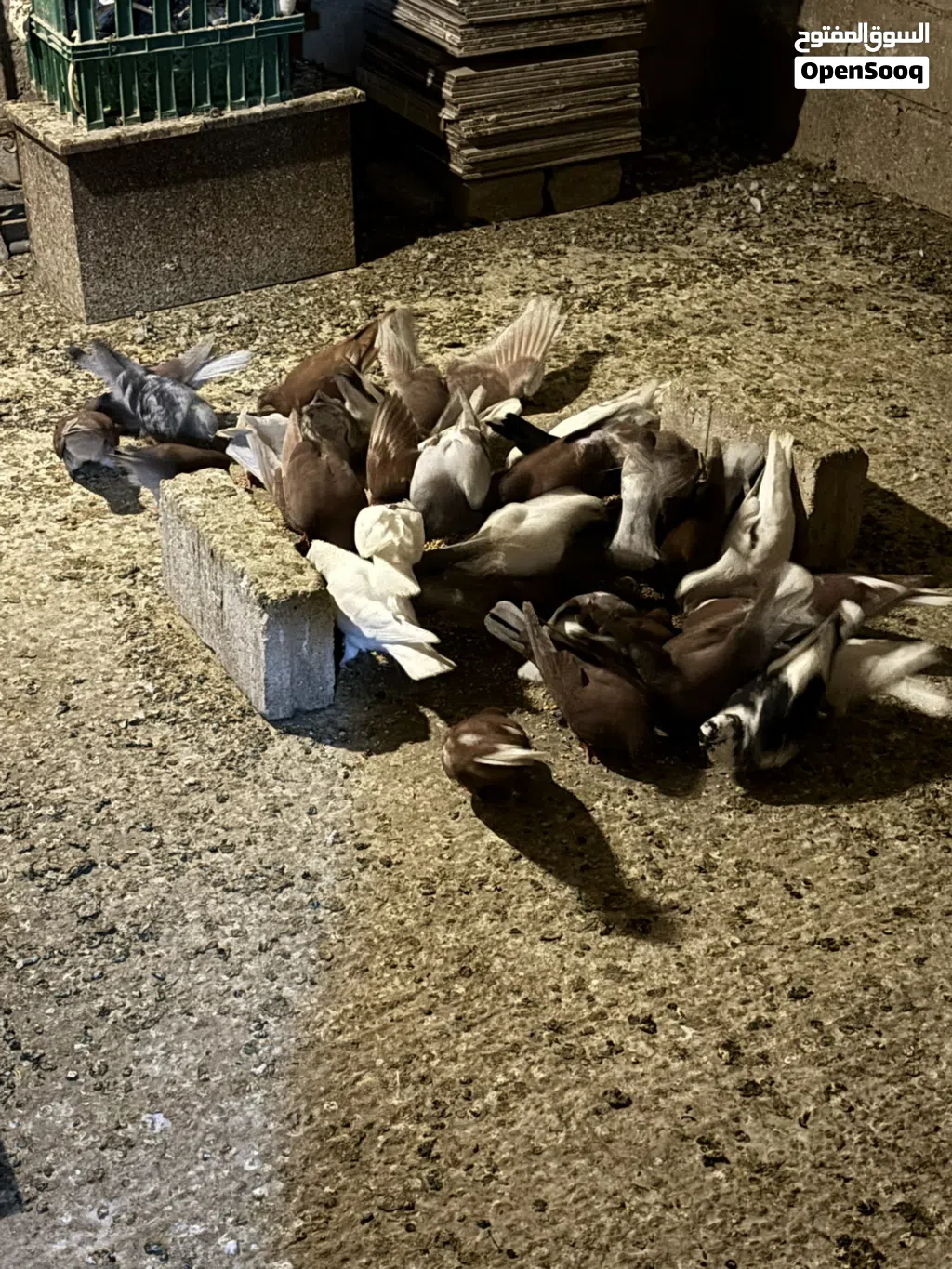 -حمام بلدي للبيع.