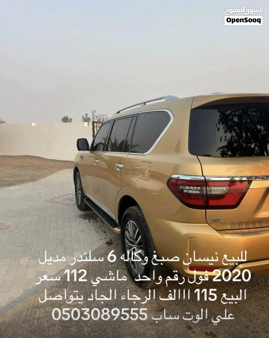 Nissan Patrol LE Platinum