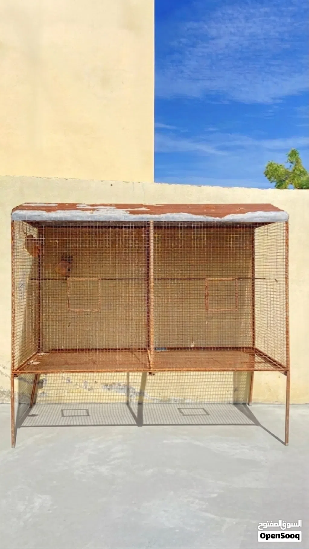 قفص طيور حديد كبير