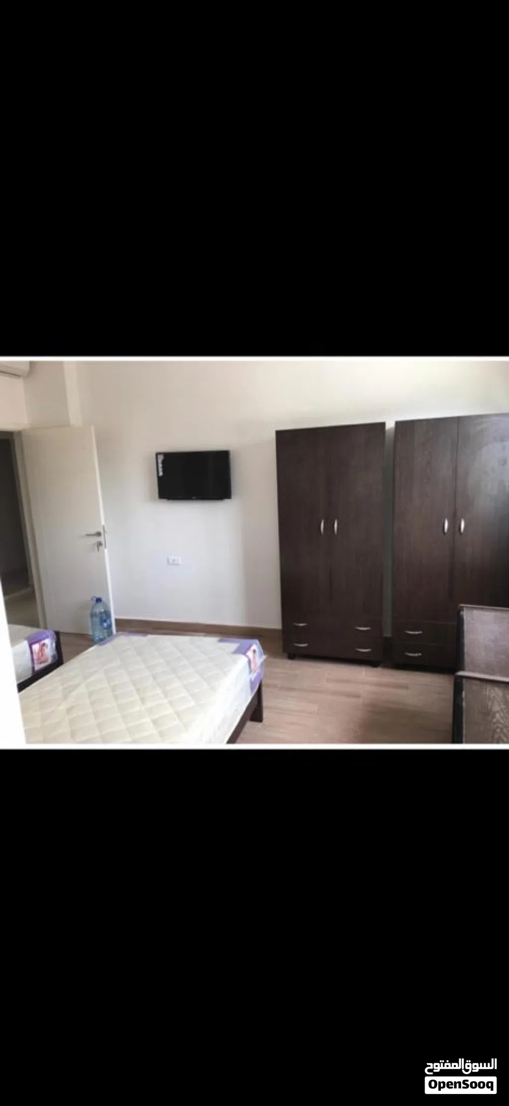 مشاركة سكن للشباب تخت
