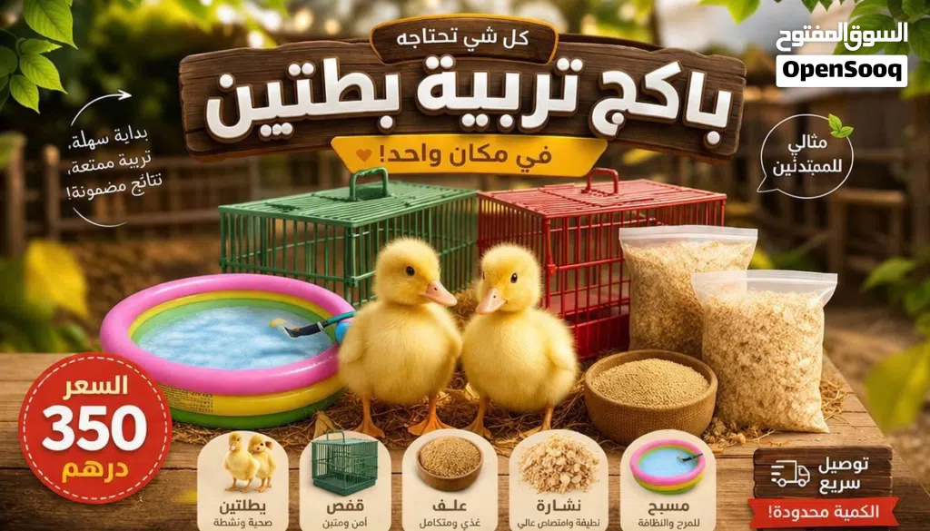 عرض مميز لعشاق تربيه بط