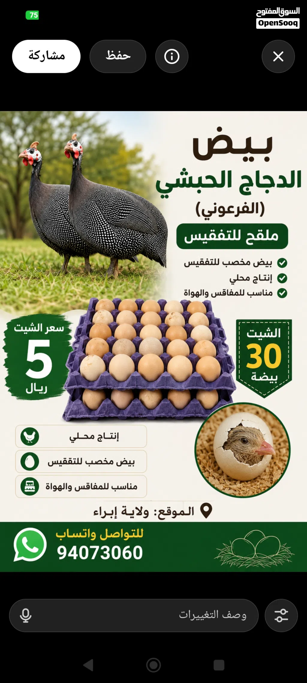 بيض دجاج الكانجا