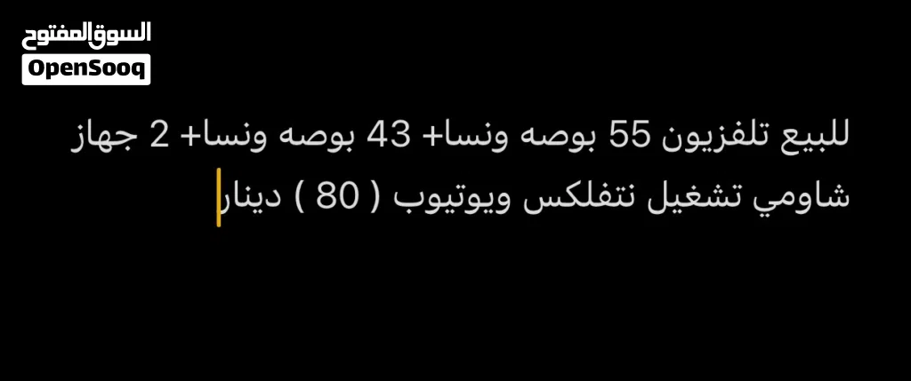 تلفزيون ونسا