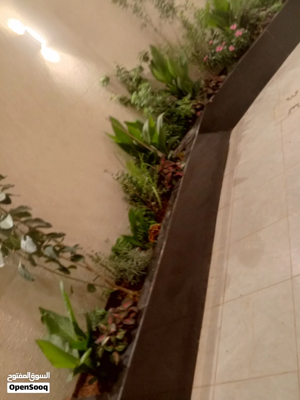 صيانه الحدائق