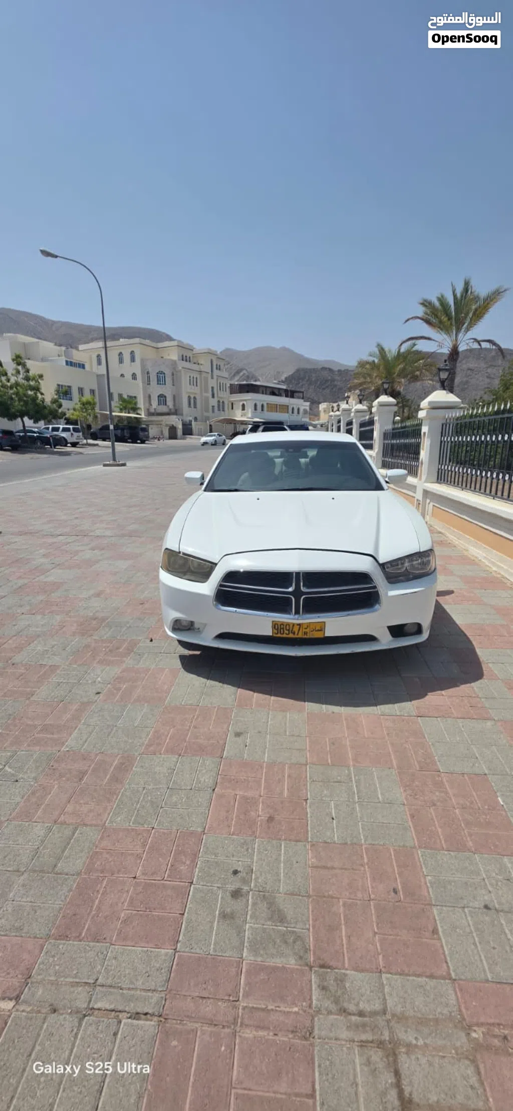 Dodge Charger Standard