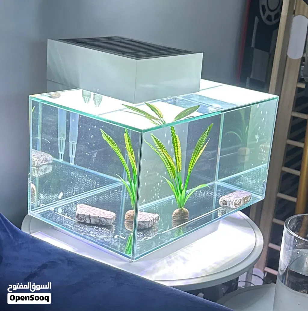 fluval edge 23 litre fish tank