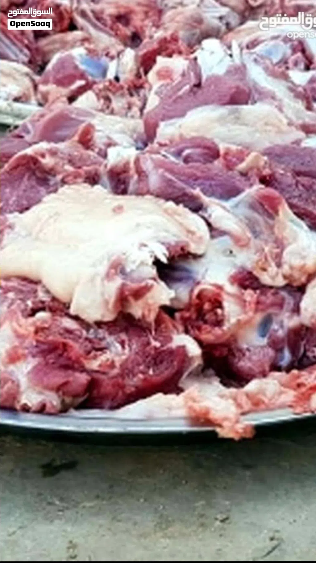 كل عام وانتم بالف بمناسبة عيد الأضحى المبارك