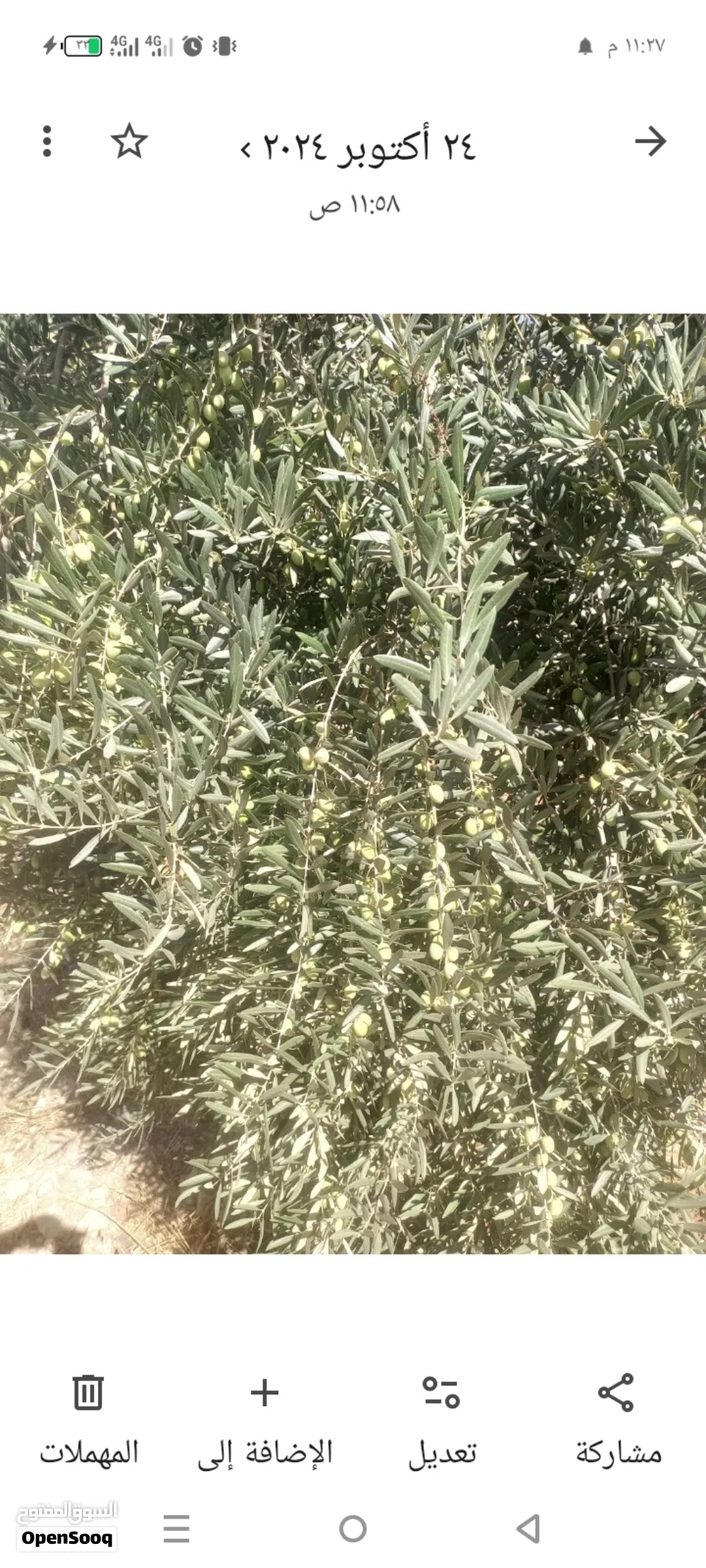 منزل مستقل للبيع نازل مزاد